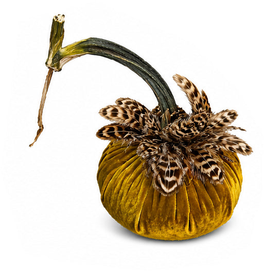 Velvet Pumpkin with Feather Collar