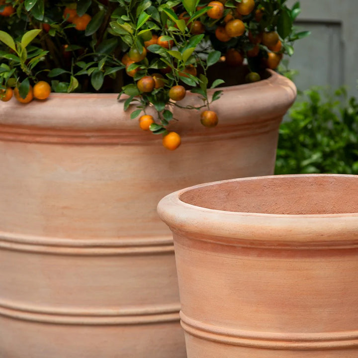 Classic Orangerie Planter – Terra Cotta