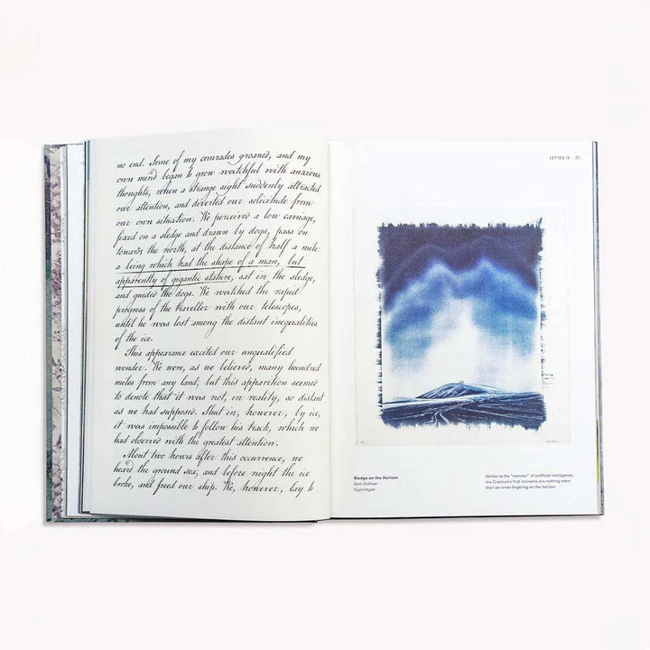 Frankenstein Art Novel™