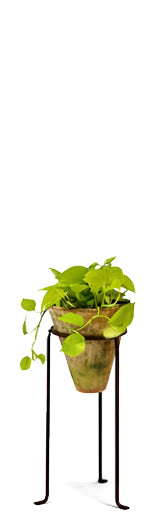 Iron Plant Stand - 8 inch