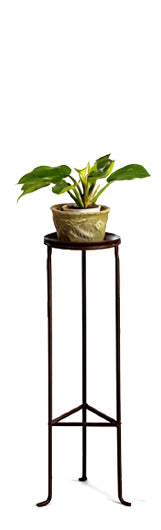 Iron Plant Stand - 8 inch