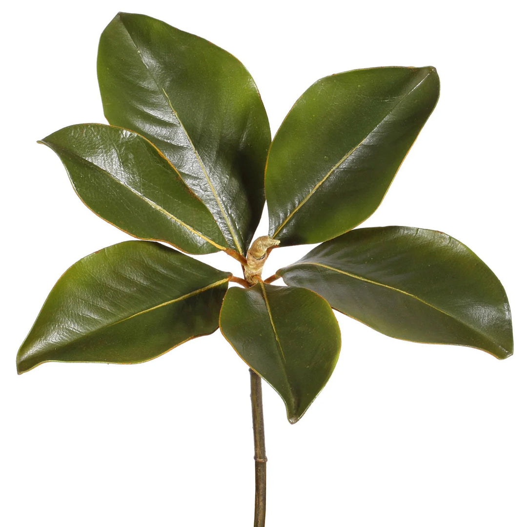 Faux Magnolia Leaf Pick