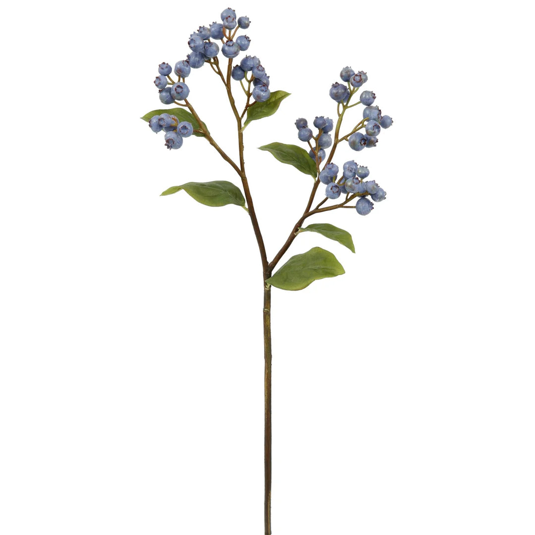Blueberry Branch Pick