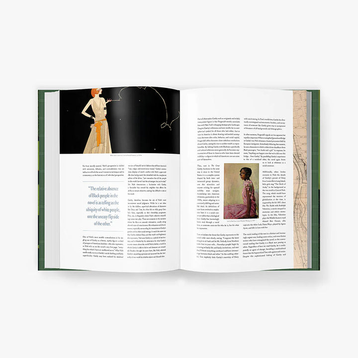 The Great Gatsby Art Novel™
