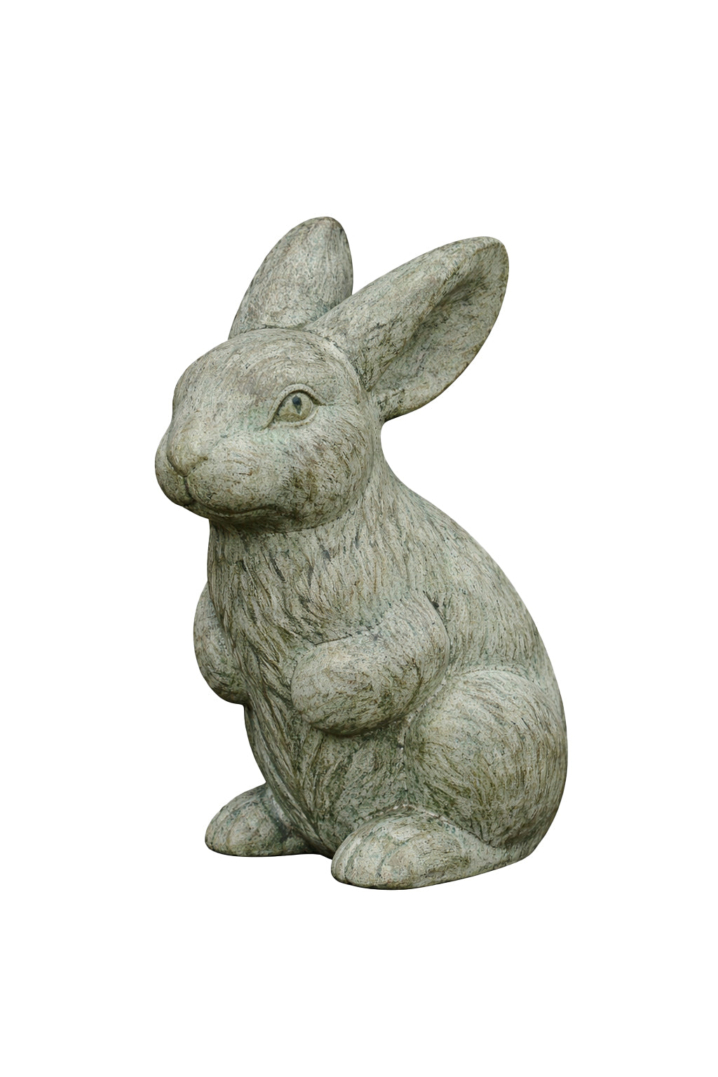 Rabbit with Ear's Up