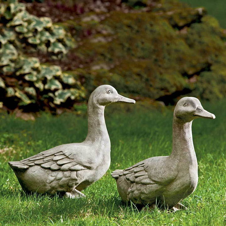 “Quackers” Cast Stone Duck Garden Sculpture