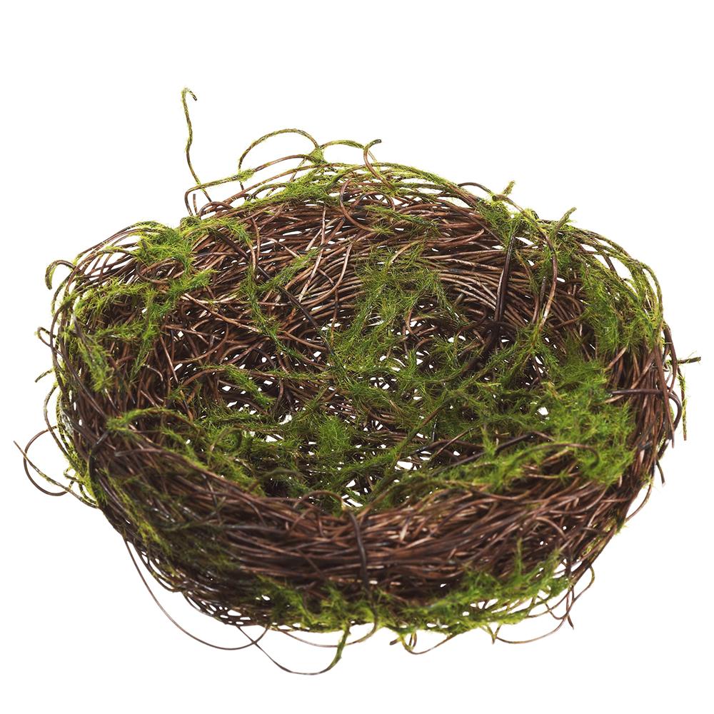 Moss Bird's Nest