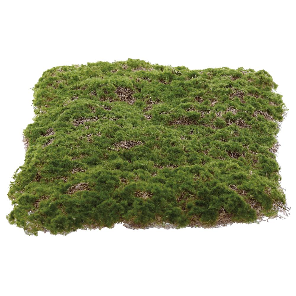 Sheet Moss