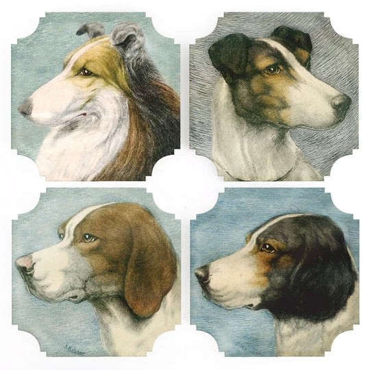 Acrylic Dog Coasters