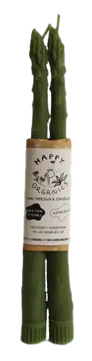 Asparagus Beeswax Candles - Pair