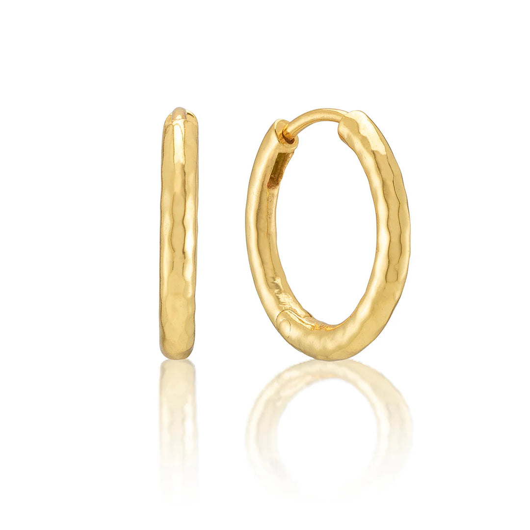 Berry Clover Hoop Warrings with Double Sided Charm - Turquoise