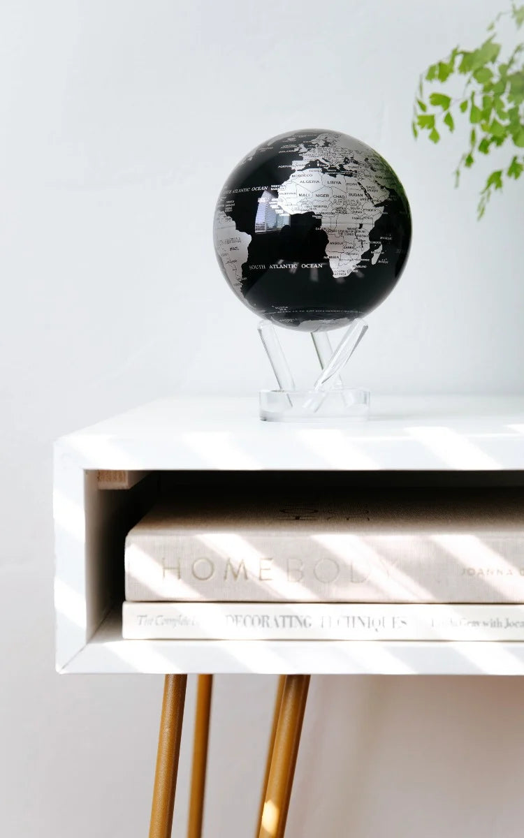 Black and Silver Globe