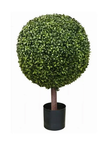 Boxwood Ball Topiary 22 inch