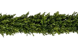 Boxwood Garland - 9 Feet