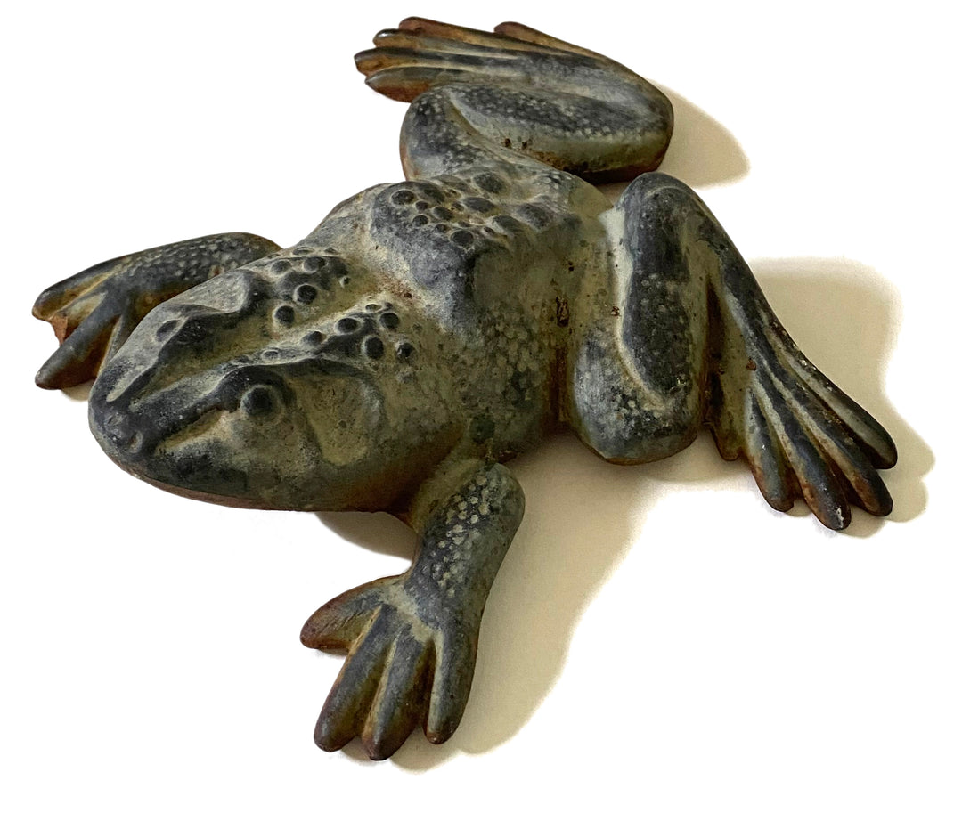 Bronze Garden Frog