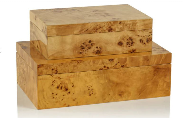 Leiden Burl Wood Design Box