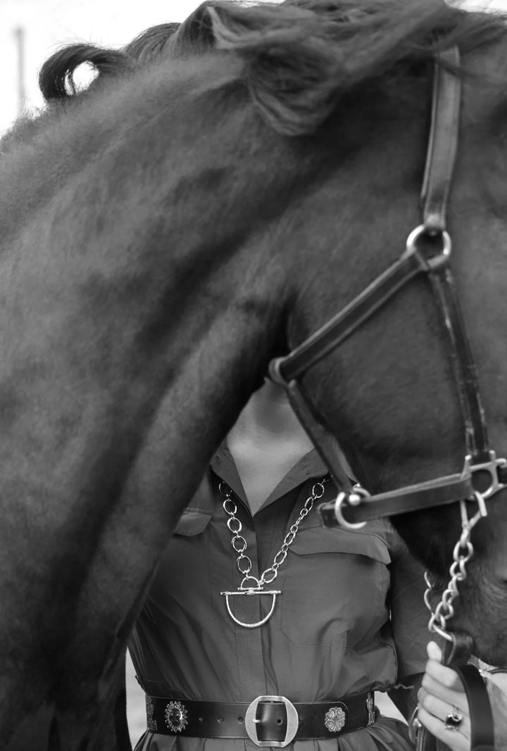 Cheval Bit Pendant
