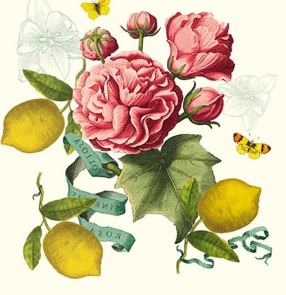 Citrons De Menton Romance Napkin, 100% Linen - Set of 4