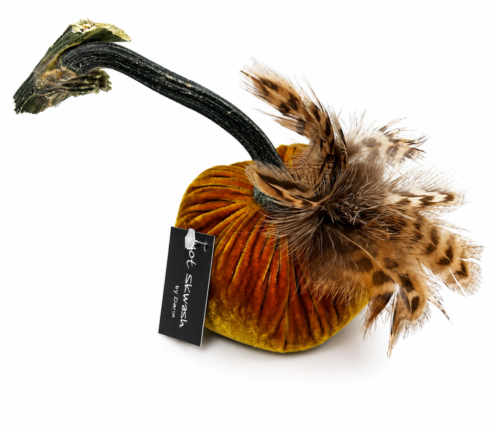 Velvet Pumpkin with Feather Collar