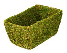 Moss Basket