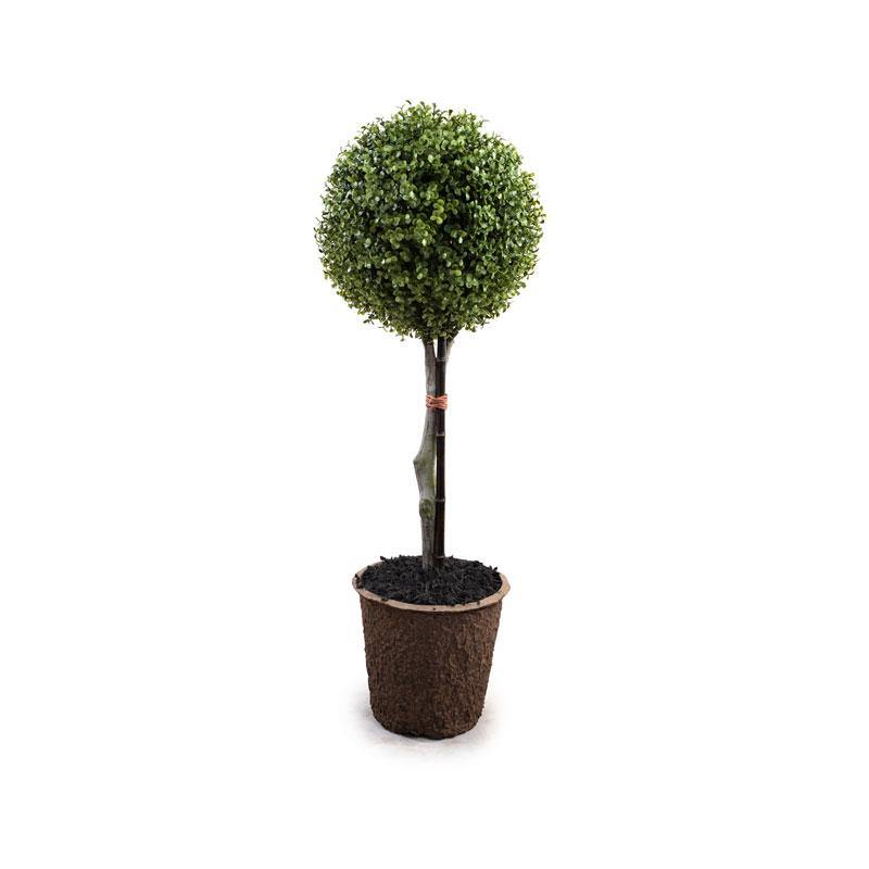Single Ball Boxwood Topiary 36"