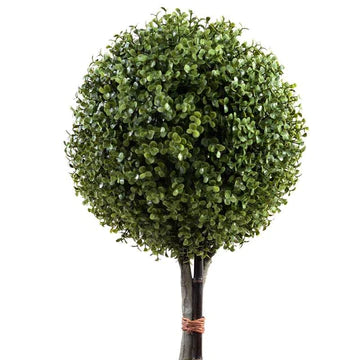 Single Ball Boxwood Topiary 36"