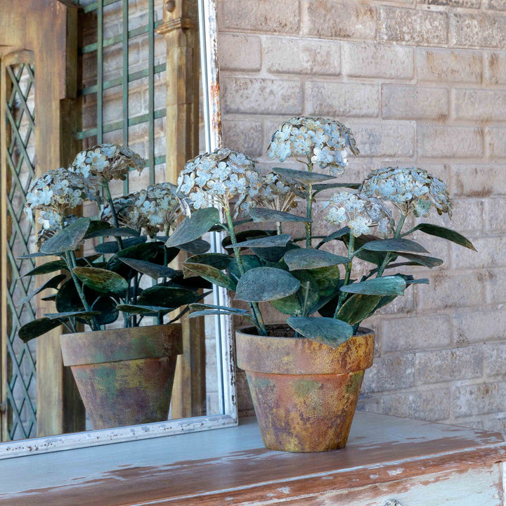 Aged Metal Potted Hydrangea
