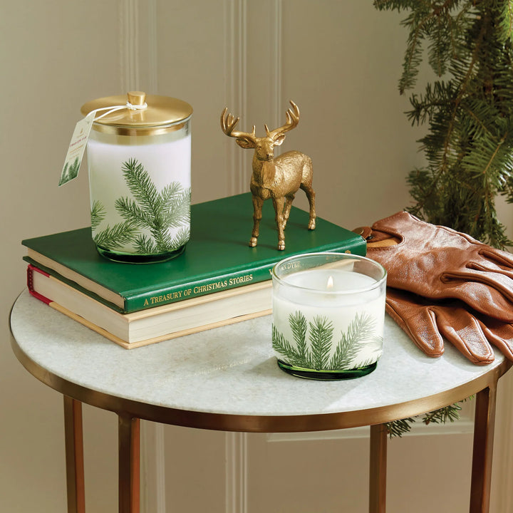 Frasier Fir Medium Luminary