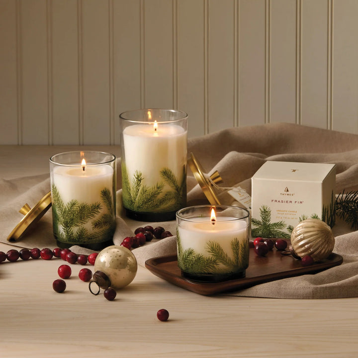 Frasier Fir Medium Luminary