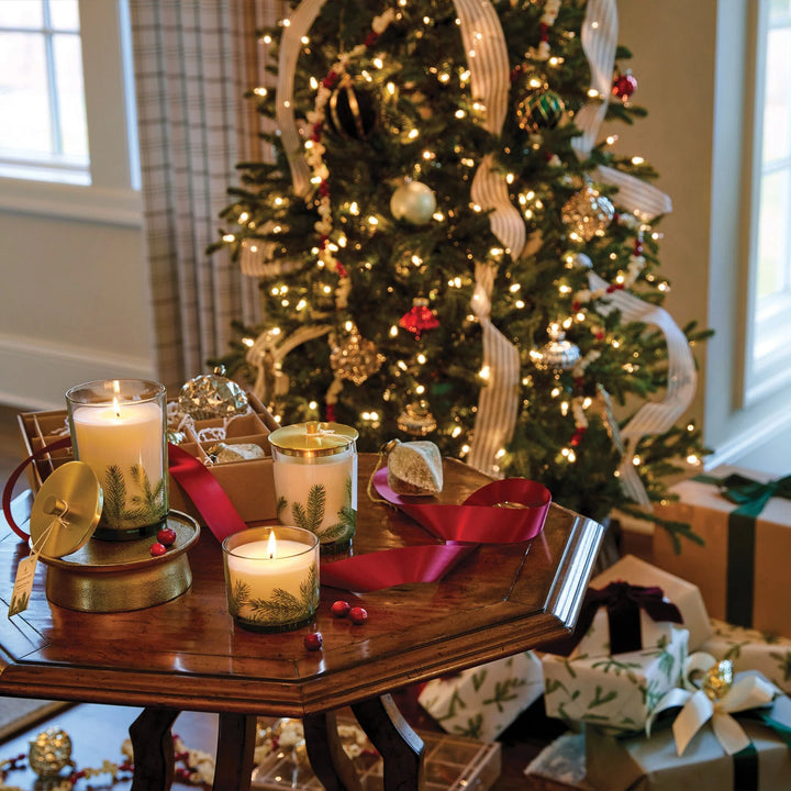 Frasier Fir Medium Luminary