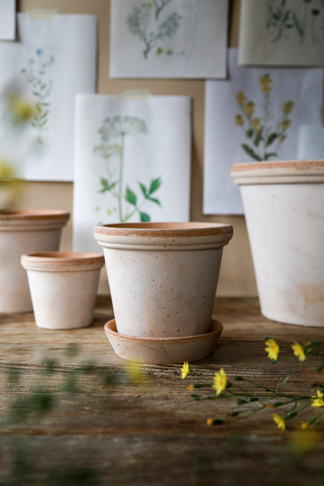 Flora Pot - Rosa