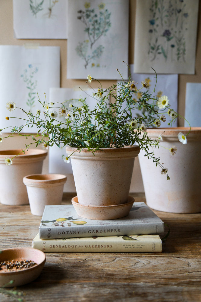 Flora Pot - Rosa