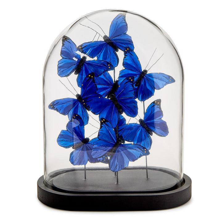 Ultramarine Butterflies in Oval Cloche