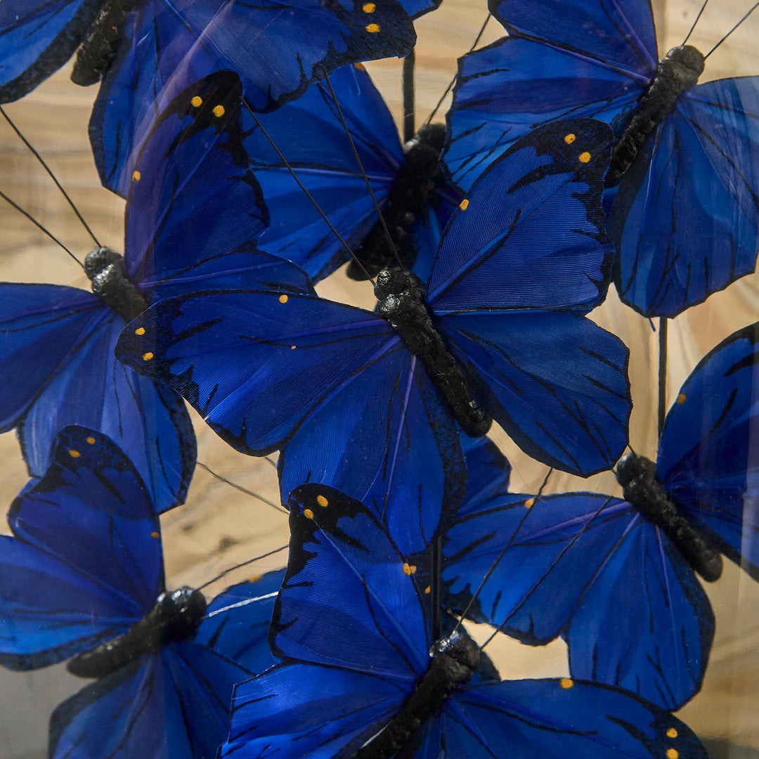 Ultramarine Butterflies in Oval Cloche