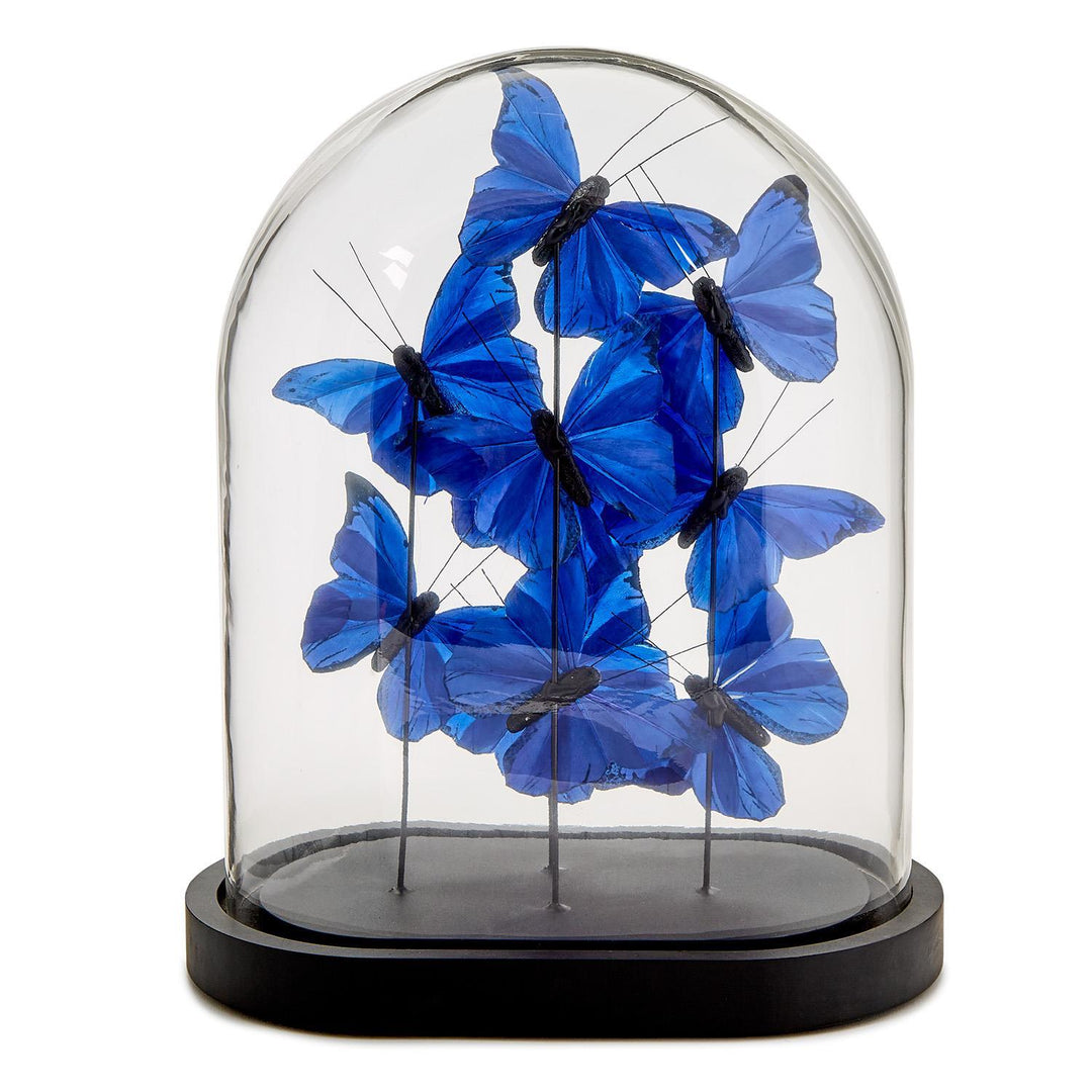 Ultramarine Butterflies in Oval Cloche