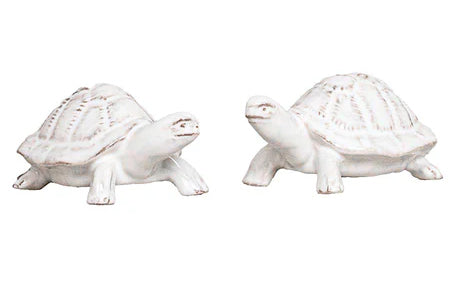 Clever Creatures Turtle Salt & Pepper Set/2pc