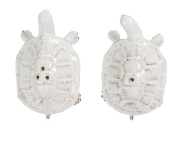 Clever Creatures Turtle Salt & Pepper Set/2pc
