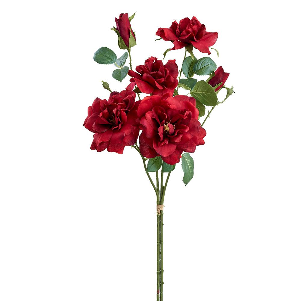 Red Rose Bundle