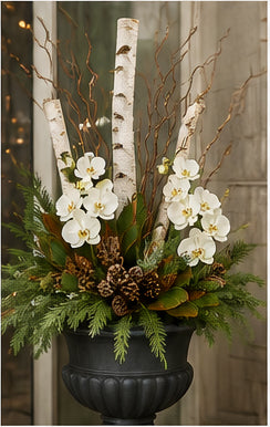 Phalaenopsis Cream Orchid Spray 29"