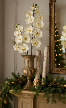Phalaenopsis Cream Orchid Spray 29"