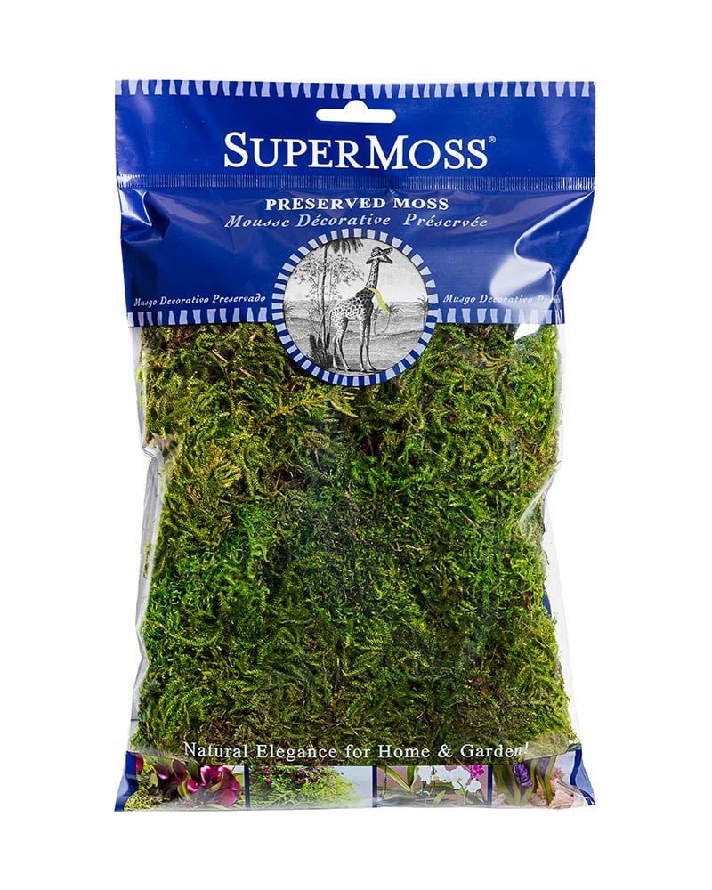 Forest Moss- 120 cu in