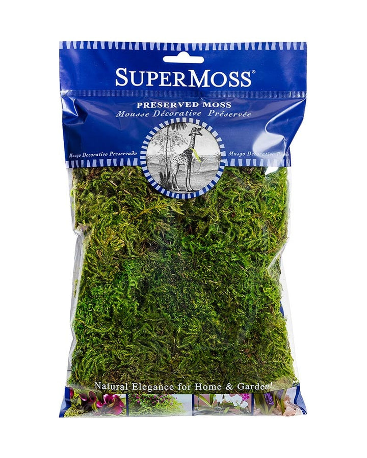Forest Moss- 120 cu in