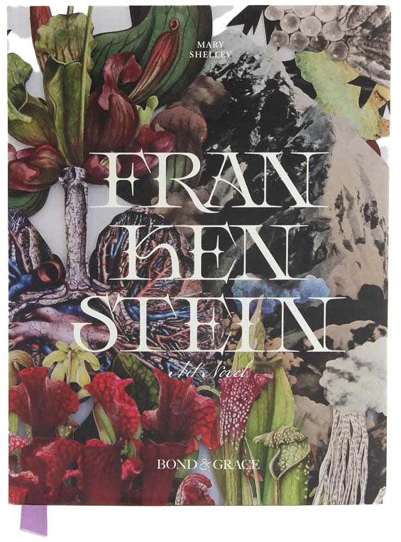 Frankenstein Art Novel™