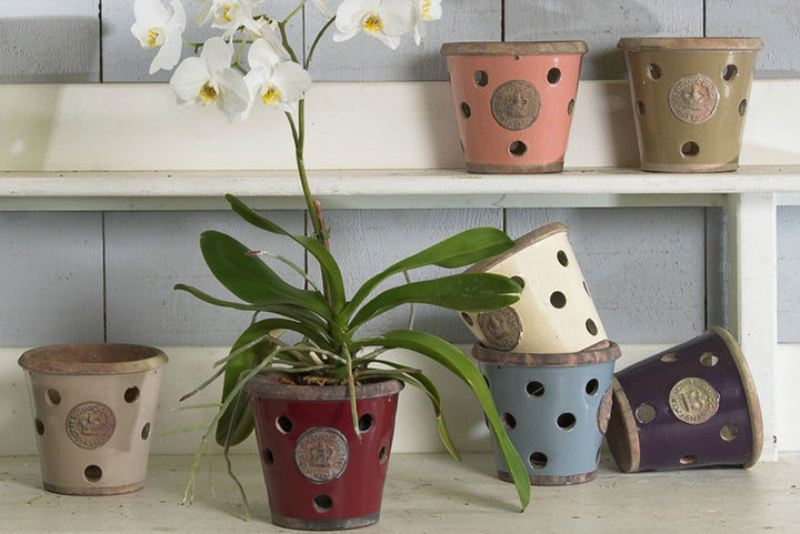 Kew Orchid Pot