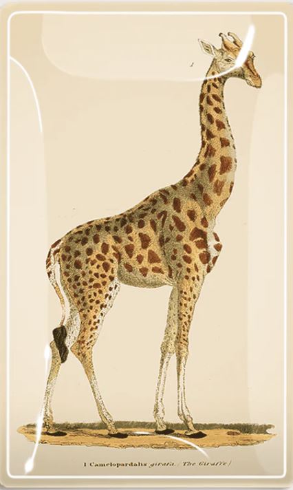 Giraffe "Geoffrey" Decoupage Tray