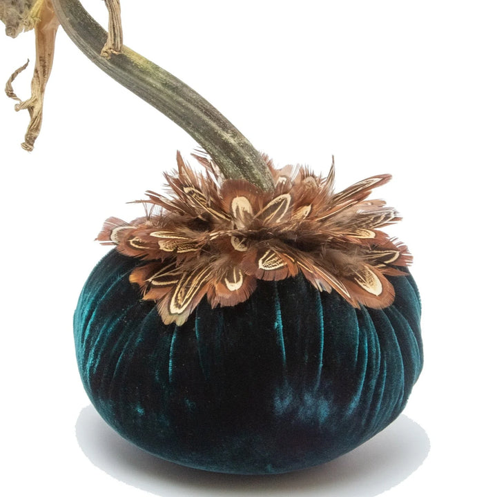 Velvet Pumpkin with Feather Collar