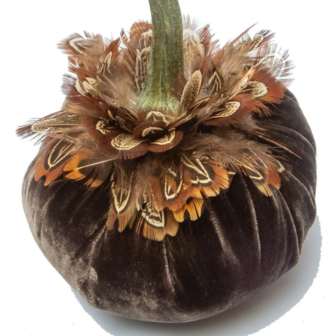 Velvet Pumpkin with Feather Collar