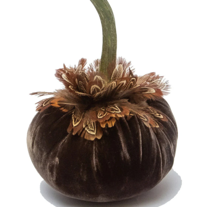 Velvet Pumpkin with Feather Collar