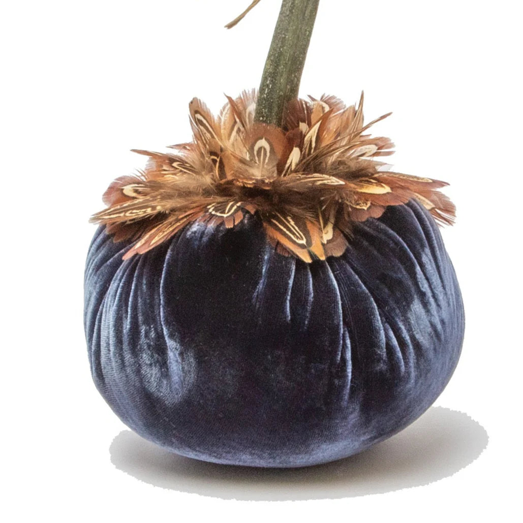 Velvet Pumpkin with Feather Collar