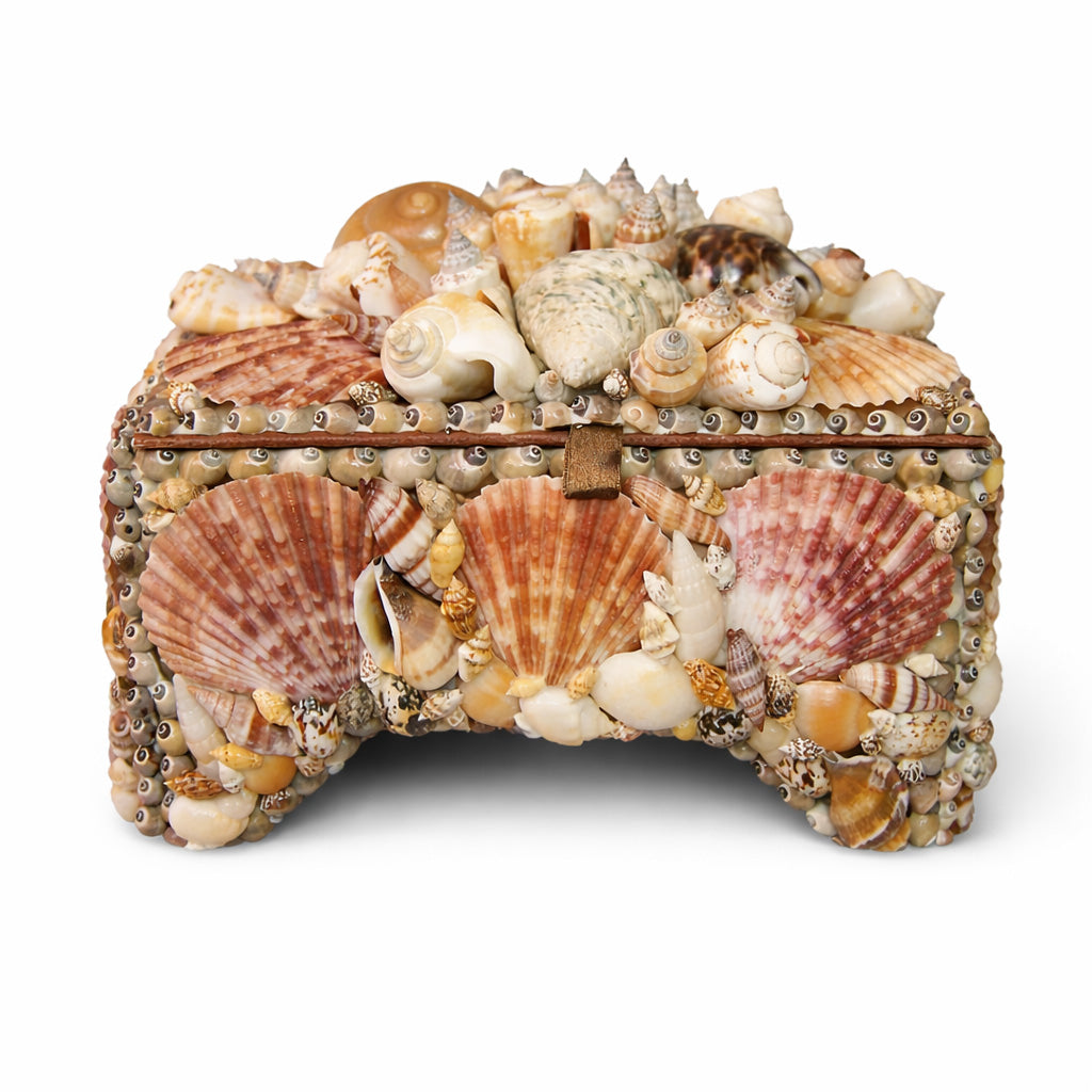 Natural Shell Footed Box